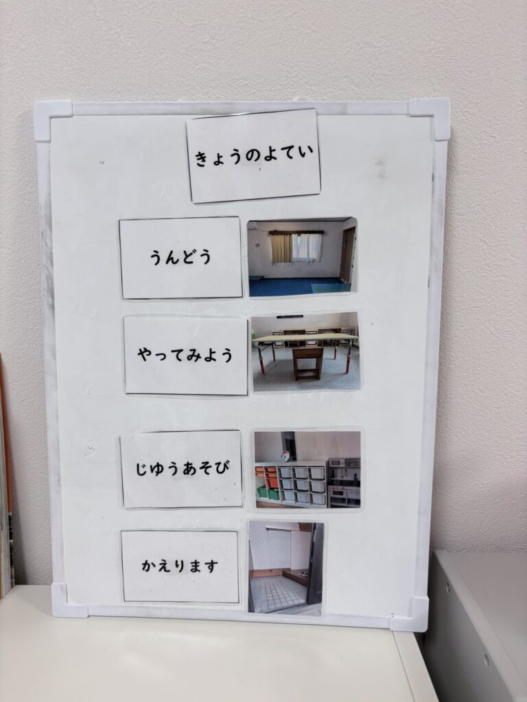 今日の予定